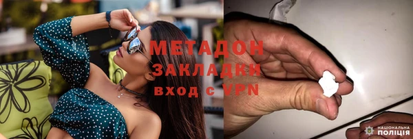 индика Белокуриха