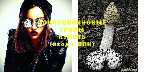 индика Белокуриха