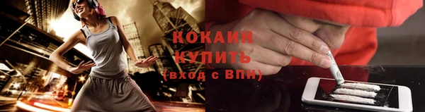 прущие крисы Беломорск