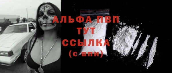 индика Белокуриха