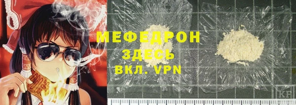 индика Белокуриха