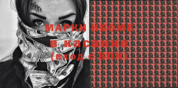 индика Белокуриха