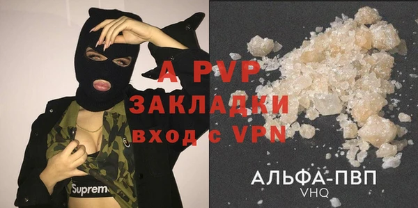индика Белокуриха