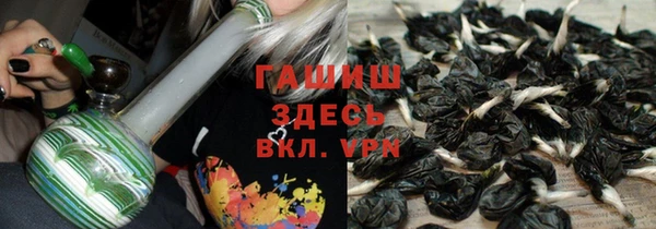 индика Белокуриха