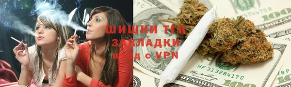 индика Белокуриха