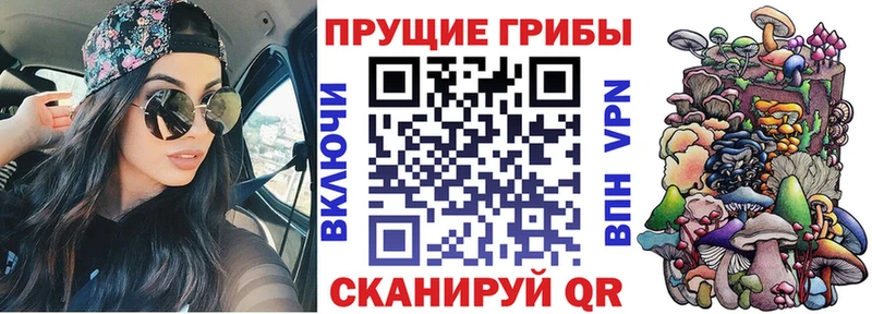 Галлюциногенные грибы мухоморы  Купить закладки  Богданович 